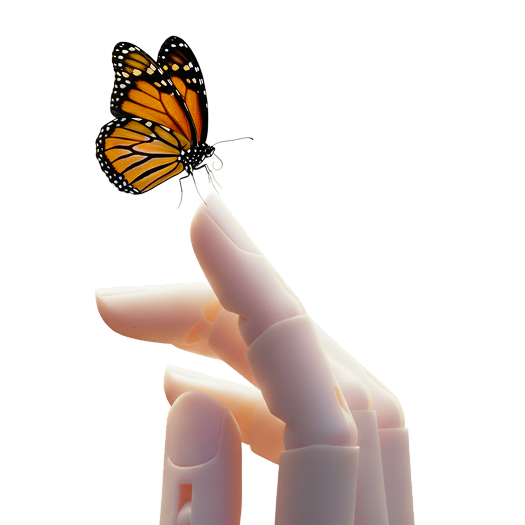 Butterfly on a hand