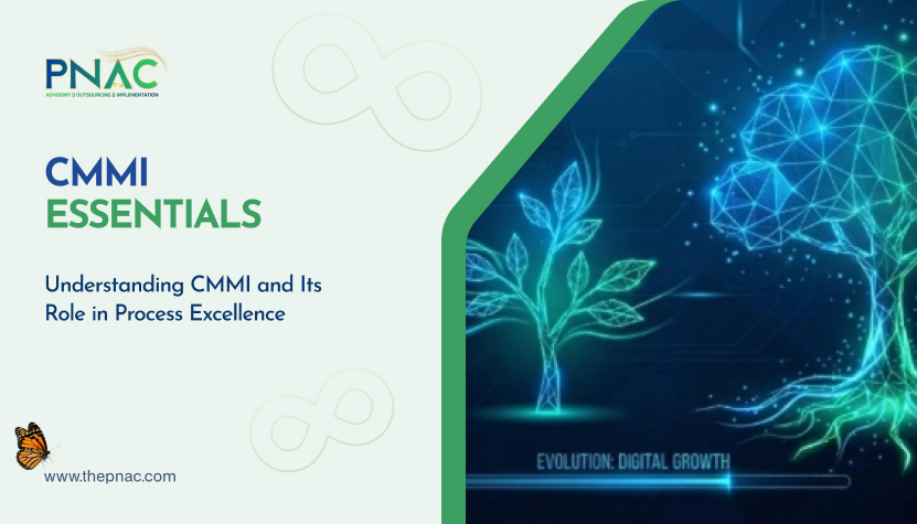 CMMI Explained: Why It Matters for Process Excellence?