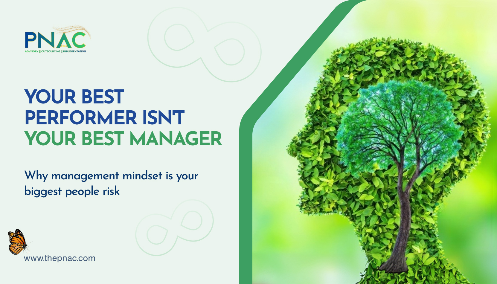 HR the Healing Psychologist: Nurturing People, Not Just Policies